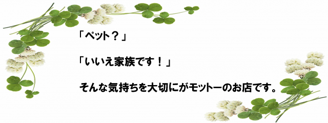 ペット？いいえ家族です！そんな気持ちを大切にがモットーのお店です。