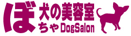 さいたま市北大宮のシャンプートリミングは犬の美容室ぼちゃ